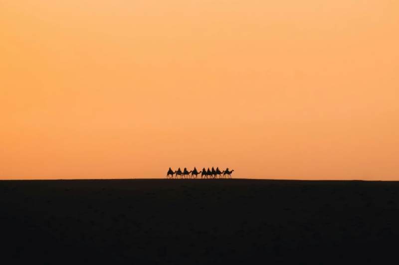 Coaching de managers