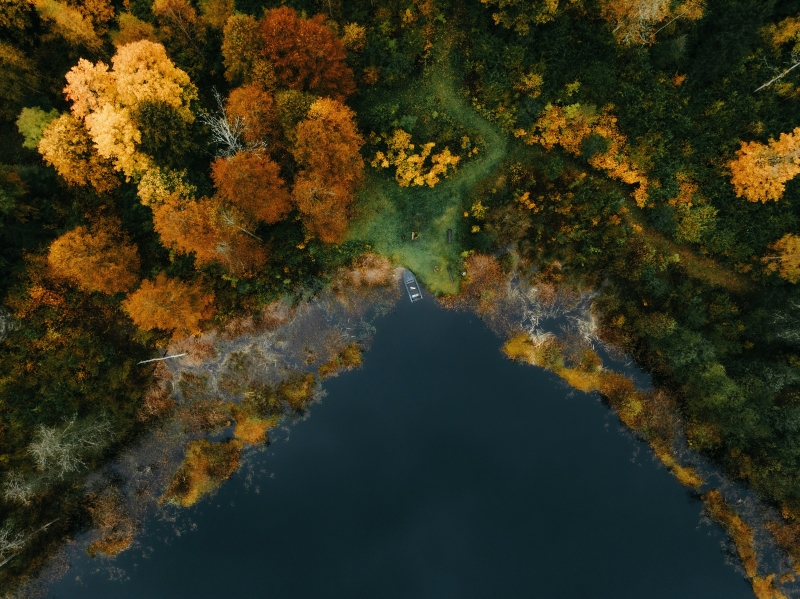 Supervision de coachs